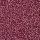 Siemenhelmi 10/0 Tsekki hopeasisus fuksia (V) 10 g