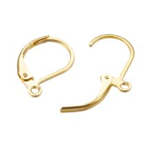 Saranalukko korvakorukoukku 304 teräs teräksenvärinen 2 pr