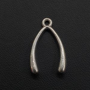 Metalliriipus toivomusluu hopeanvärinen 24x15 mm 1 kpl