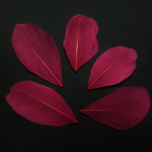 Hanhensulka lyhyt värjätty tumma fuksia 10 kpl n. 3-8 cm