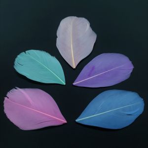 Hanhensulka lyhyt värjätty pastelli mix 10 kpl n. 3-8 cm