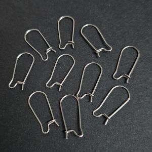 Lukittava korvakorukoukku 316 kirurginteräs teräksenvärinen 5 pr