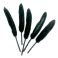 Hanhensulka kapea musta n. 10-16 cm 1 kpl