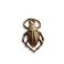 Vintaj Natural Brass™ maskotti scarab 11x18 mm 1 kpl